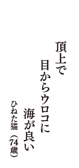 頂上で　目からウロコに　海が良い　（ひねた猫　74歳）
