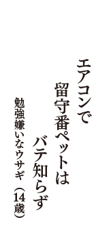 エアコンで　留守番ペットは　バテ知らず　（勉強嫌いなウサギ　14歳）