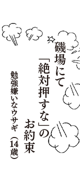 磯場にて　「絶対押すな」の　お約束　（勉強嫌いなウサギ　14歳）