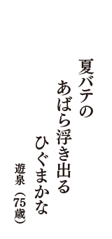 夏バテの　あばら浮き出る　ひぐまかな　（遊泉　75歳）