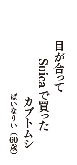 目が合って　Suicaで買った　カブトムシ　（ばいなりい　60歳）