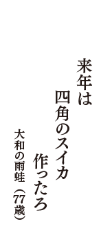 来年は　四角のスイカ　作ったろ　（大和の雨蛙　77歳）