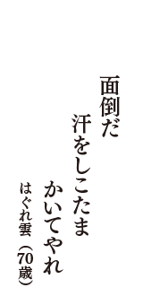 面倒だ　汗をしこたま　かいてやれ　（はぐれ雲　70歳）