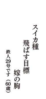 スイカ種　飛ばす目標　嫁の胸　（鉄人29号です　60歳）