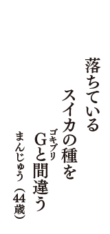 落ちている　スイカの種を　G（ゴキブリ）と間違う　（まんじゅう　44歳）