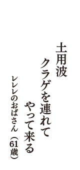 土用波　クラゲを連れて　やって来る　（レレレのおばさん　61歳）