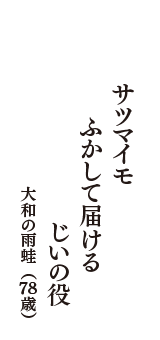 サツマイモ　ふかして届ける　じいの役　（大和の雨蛙　78歳）