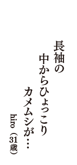 長袖の　中からひょっこり　カメムシが・・・　（hiro　31歳）