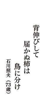 背伸びして　届かぬ柿は　鳥に分け　（石川照夫　73歳）