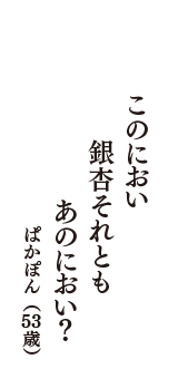 このにおい　銀杏それとも　あのにおい？　（ぱかぽん　53歳）