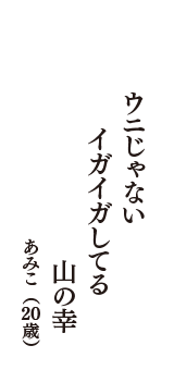 ウニじゃない　イガイガしてる　山の幸　（あみこ　20歳）