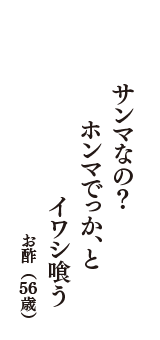 サンマなの？　ホンマでっか、と　イワシ喰う　（お酢　56歳）