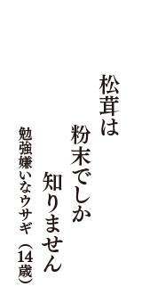 松茸は　粉末でしか　知りません　（勉強嫌いなウサギ　14歳）