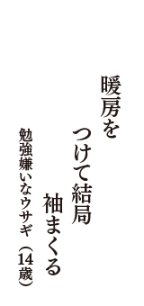 暖房を　つけて結局　袖まくる　（勉強嫌いなウサギ　14歳）