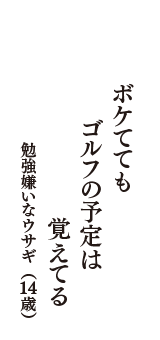 ボケてても　ゴルフの予定は　覚えてる　（勉強嫌いなウサギ　14歳）