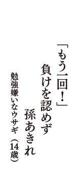 「もう一回！」　負けを認めず　孫あきれ　（勉強嫌いなウサギ　14歳）