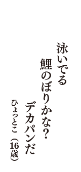 泳いでる　鯉のぼりかな？　デカパンだ　（ひょっとこ　16歳）