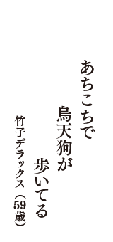 あちこちで　烏天狗が　歩いてる　（竹子デラックス　59歳）