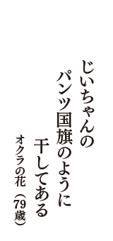 じいちゃんの　パンツ国旗のように　干してある　（オクラの花　79歳）