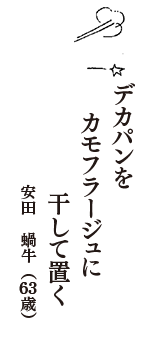 デカパンを　カモフラージュに　干して置く　（安田　蝸牛　63歳）