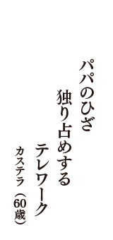 パパのひざ　独り占めする　テレワーク　（カステラ　60歳）