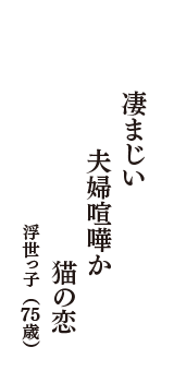 凄まじい　夫婦喧嘩か　猫の恋　（浮世っ子　75歳）