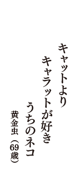 キャットより　キャラットが好き　うちのネコ　（黄金虫　69歳）