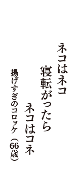 ネコはネコ　寝転がったら　ネコはコネ　（揚げすぎのコロッケ　66歳）