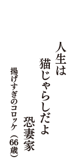 人生は　猫じゃらしだよ　恐妻家　（揚げすぎのコロッケ　66歳）