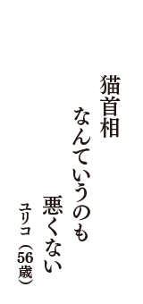 猫首相　なんていうのも　悪くない　（ユリコ　56歳）