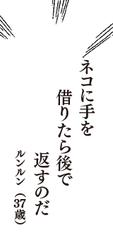 ネコに手を　借りたら後で　返すのだ　（ルンルン　37歳）