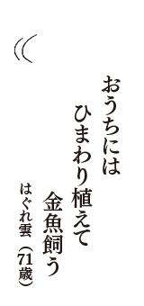 おうちには　ひまわり植えて　金魚飼う　（はぐれ雲　71歳）