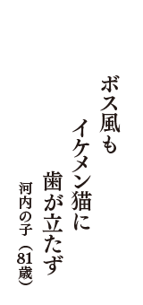 ボス風も　イケメン猫に　歯が立たず　（河内の子　81歳）