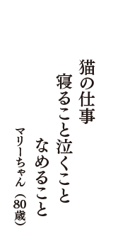 猫の仕事　寝ること泣くこと　なめること　（マリーちゃん　80歳）