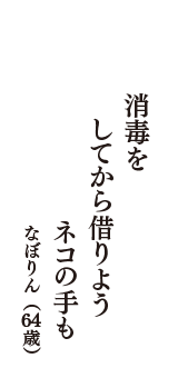 消毒を　してから借りよう　ネコの手も　（なぼりん　64歳）