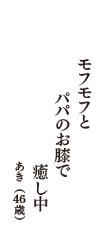 モフモフと　パパのお膝で　癒し中　（あき　46歳）