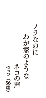 ノラなのに　わが家のような　ネコの声　（つっつ　56歳）