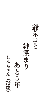 爺ネコと　絆深まり　あと５年　（しんちゃん　72歳）