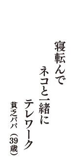 寝転んで　ネコと一緒に　テレワーク　（貧乏パパ　39歳）