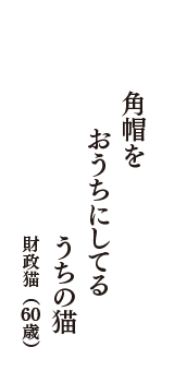 角帽を　おうちにしてる　うちの猫　（財政猫　60歳）