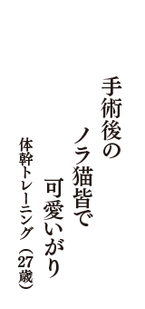 手術後の　ノラ猫皆で　可愛いがり　（体幹トレーニング　27歳）