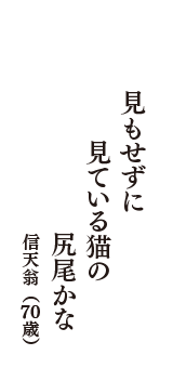 見もせずに　見ている猫の　尻尾かな　（信天翁　70歳）