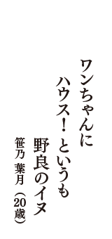 ワンちゃんに　ハウス!というも　野良のイヌ　（笹乃 葉月　20歳）