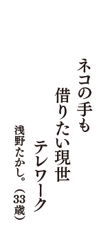 ネコの手も　借りたい現世　テレワーク　（浅野たかし。　33歳）