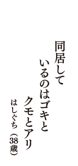 同居して　いるのはゴキと　クモとアリ　（はしぐち　38歳）