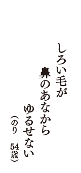 しろい毛が　鼻のあなから　ゆるせない　（のり　54歳）