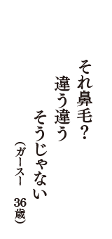 それ鼻毛？　違う違う　そうじゃない　（ガースー　36歳）