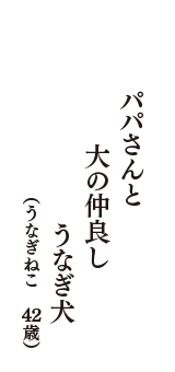 パパさんと　大の仲良し　うなぎ犬　（うなぎねこ　42歳）